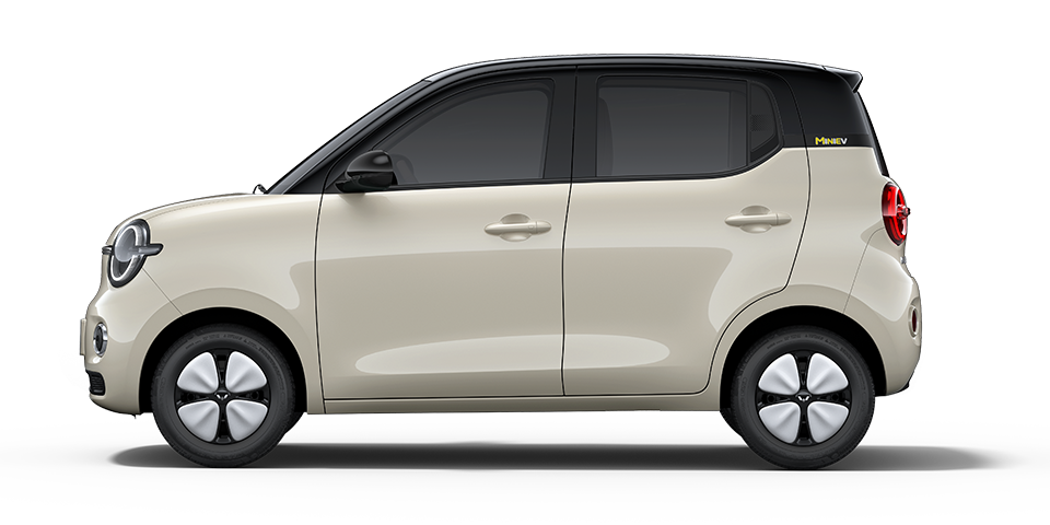 ��������MINIEV